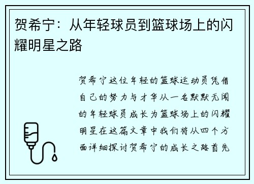 贺希宁：从年轻球员到篮球场上的闪耀明星之路